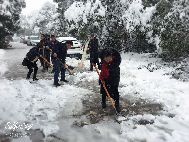 员工“铲雪清道路” 2.jpg